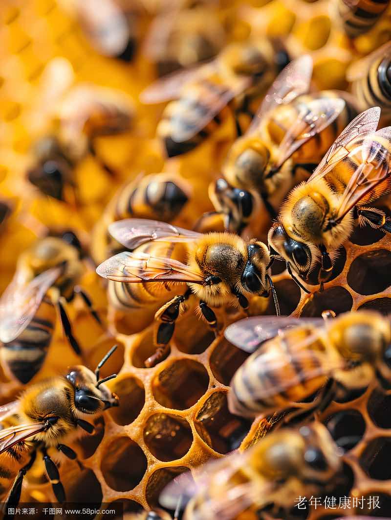 蜂王浆里找到“真正的修复因子” 解锁老年健康养护新密码 蜂王浆里找到“真正的修复因子” 解锁老年健康养护新密码