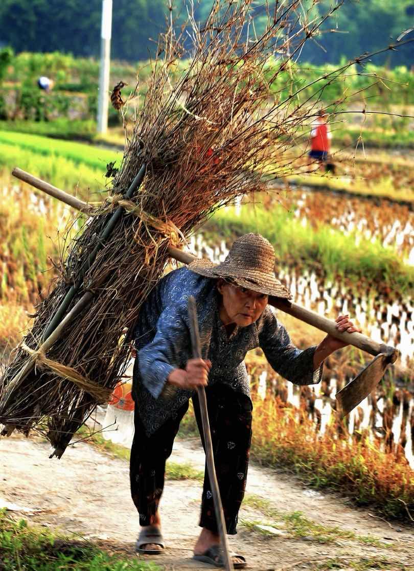 警惕“无效勤奋”!除了吃苦,你还能靠什么立足? 警惕“无效勤奋”!除了吃苦,你还能靠什么立足?
