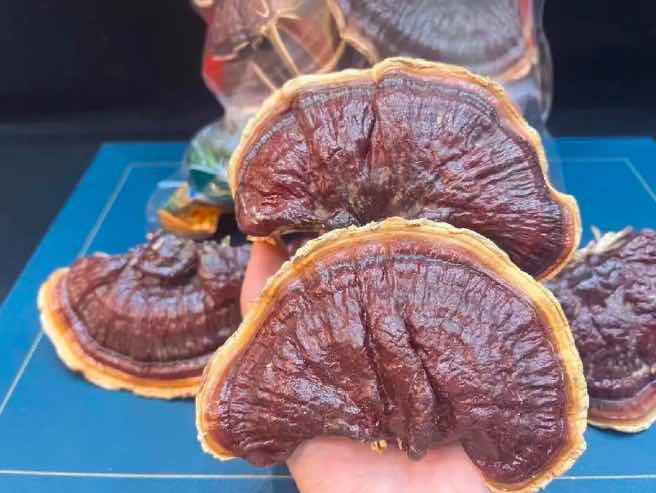 ����Ϊ��֢�������������⣬ ��ʵ�ܶ�ʱ����ѹ��ʧ�صĽ����