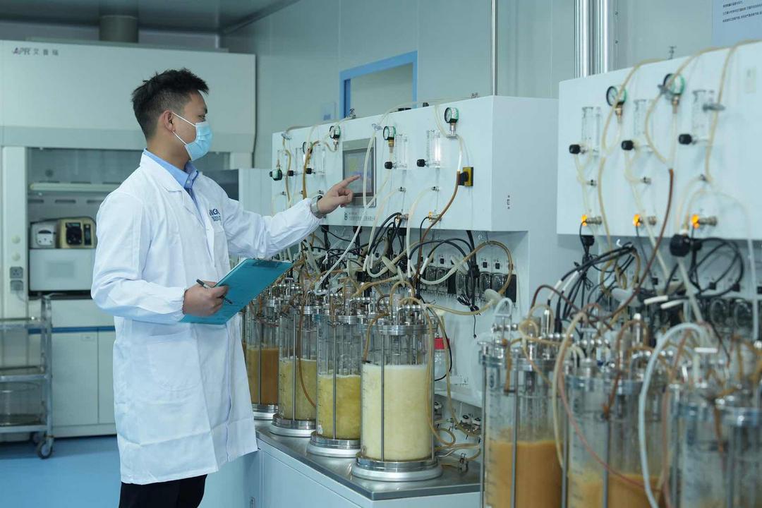 药食同源+发酵工程,解锁中药增效新密码,守护老年健康新生态 药食同源+发酵工程,解锁中药增效新密码,守护老年健康新生态