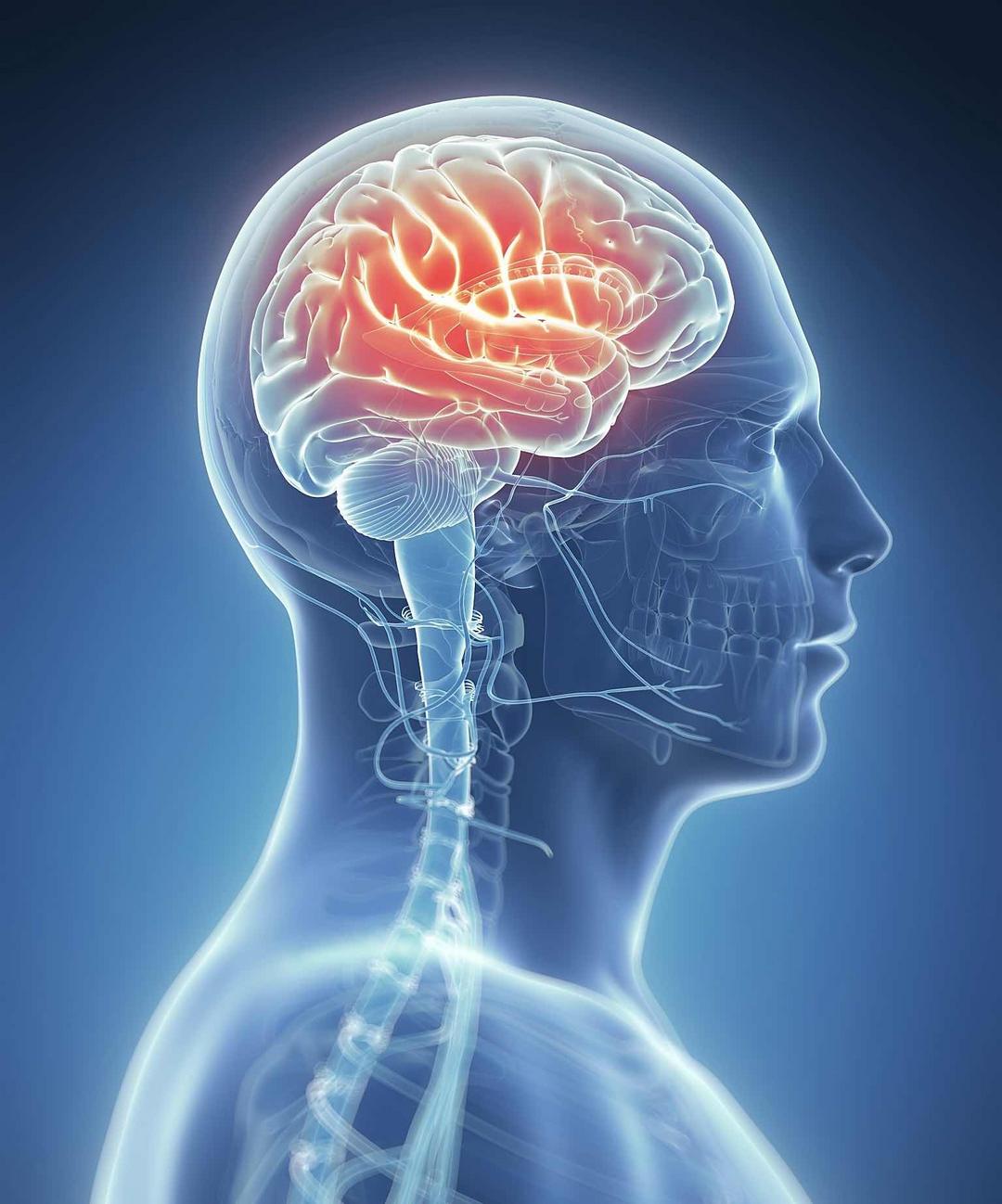 别让常用药害了大脑!中老年警惕这几种药,远离痴呆隐患 别让常用药害了大脑!中老年警惕这几种药,远离痴呆隐患