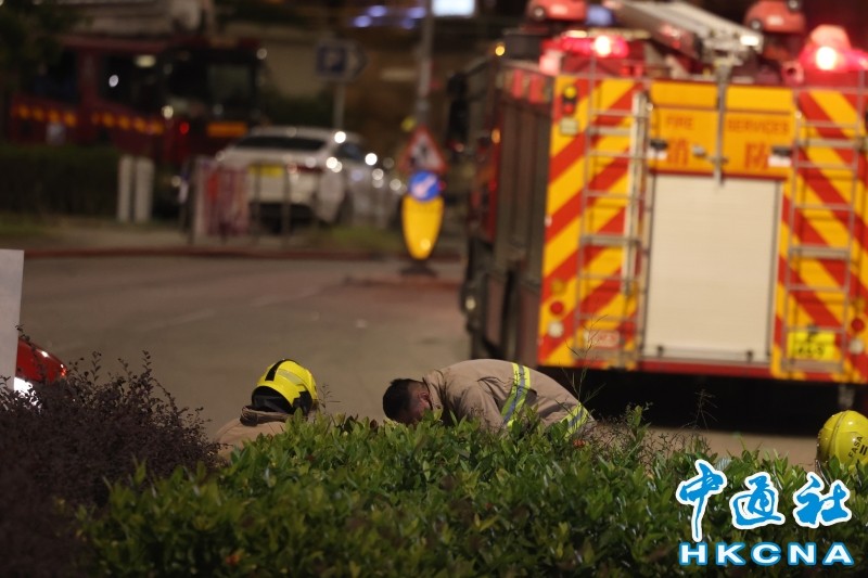 ȥ����ۘ������������_�r�g�_������ų���